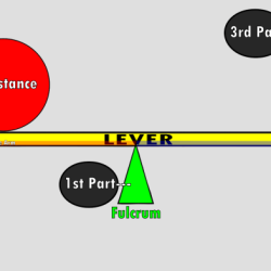 Levers classes fulcrum tongs