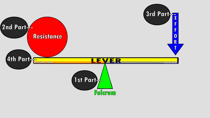 Levers classes fulcrum tongs