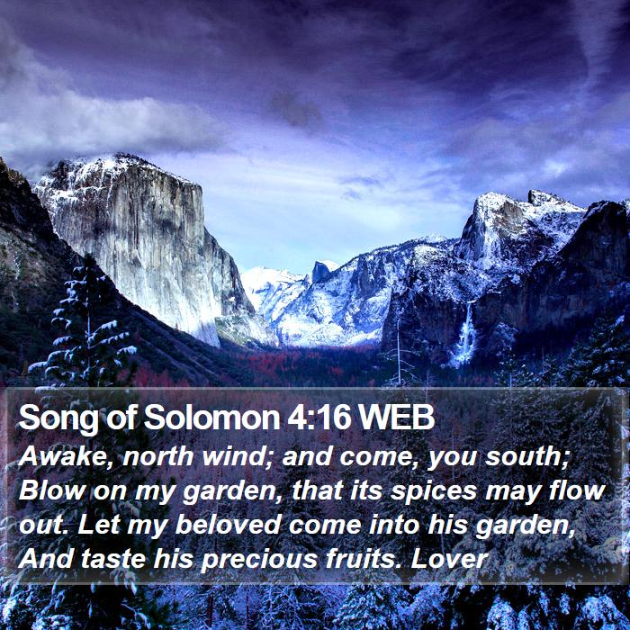 Chapter 11 song of solomon