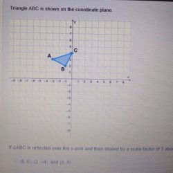 Triangle abc was reflected over line m