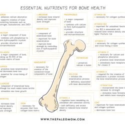 Bones tips healthy keep health body muscles organs anchoring protecting providing storing roles calcium structure few many play