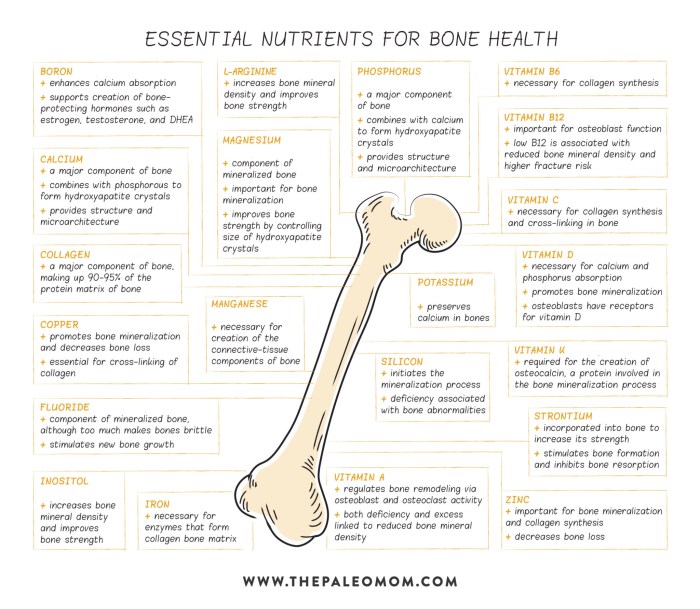 Bones tips healthy keep health body muscles organs anchoring protecting providing storing roles calcium structure few many play