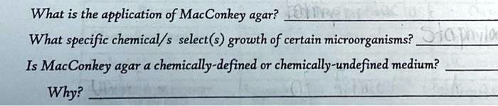 Macconkey interpretation lactose composition principle